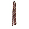 HENBRANDT Wizard School Red and Gold Fancy Dress Tie