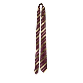 HENBRANDT Wizard School Red and Gold Fancy Dress Tie
