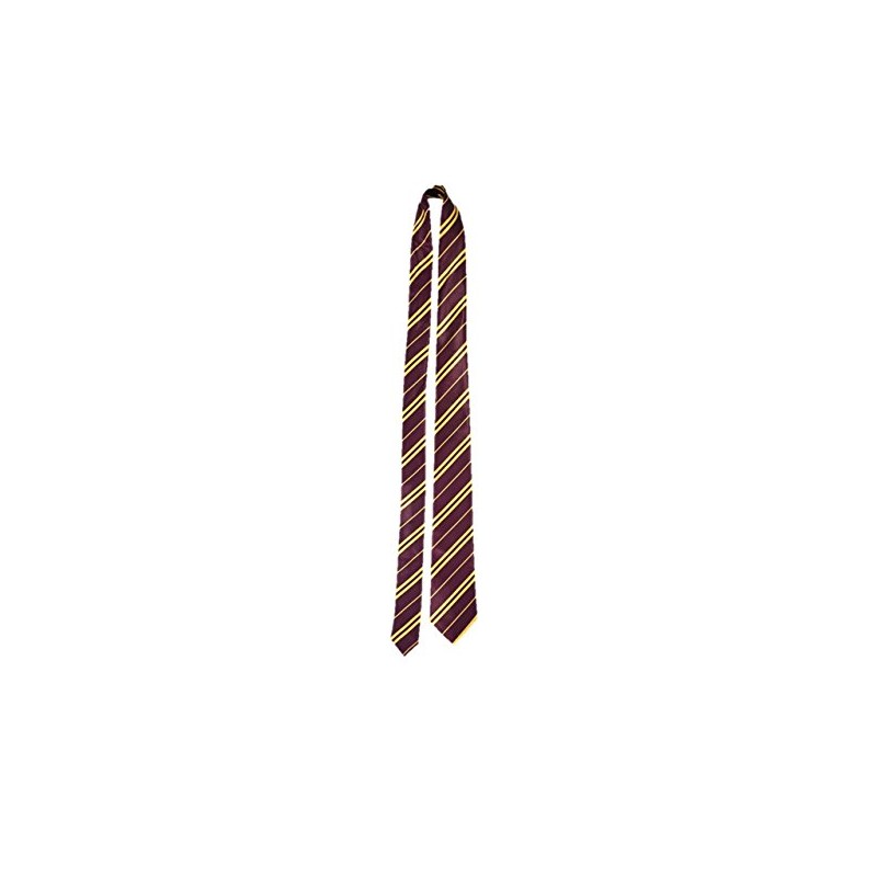 HENBRANDT Wizard School Red and Gold Fancy Dress Tie
