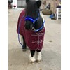 Equipride Horse Print Fur Padded Nylon Headcollars with Lead Rope