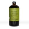 Explorer Organic Chai Tea Concentrate, Magician Spiced Honey, Drink Iced