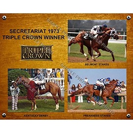 SPORTSPHOTOSUSA Secretariat 1973 Triple Crown Winner Derby Preakness Belmont 11x14 Photo Collage