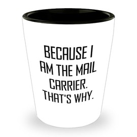 Mail Carrier Gifts from Friends and Family for Christmas Unique Shot Glass - Because I Am The Mail Carrier. That's Why.
