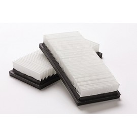 Nilfisk Original 302002842 Flat Filter Pack of 2