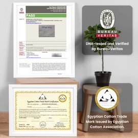 Weddingly CEA Certified 100% Giza Egyptian Cotton Sheets|4 Piece Set|Accredited Gold Seal|Deep Pocket|Extra Long Staple|Sateen Weave|High Fabric Strength,Uniform &Soft| (King,Charcoal Gray)