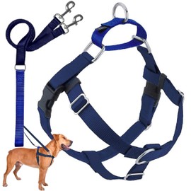 2 Hounds Design Freedom No Pull Dog Harness, Adjustable Harness and Leash Set, Easy Walking & Comfortable Control, Fits Small, Medium & Large Dogs, Solid Colors, Made in USA, 1" LG, Navy