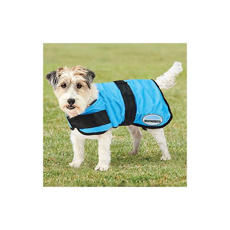 WeatherBeeta Therapy-Tec Cooling Dog Coat, Blue, 35cm