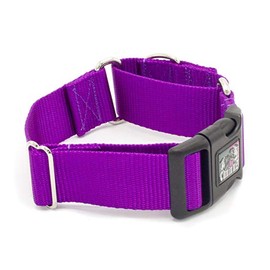 1 1/2 Inch Martingale w/Buckle Dog Collars - Heavy Duty Nylon (1.5" Width Dog Collars (Purple, Large)