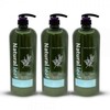 Natural Leaf Tea Tree Fresh Herb Floral Scent Jumbo Conditioner, 3 x 1500ml Single Item