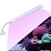 Fish Tank Clip on Light Aquarium Clamp Lamp with White