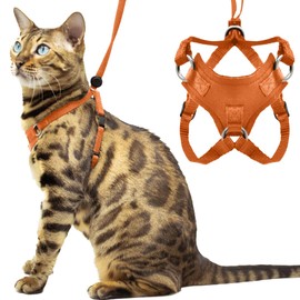 Houdini™ Escape Proof Cat Harness and Leash Set by OutdoorBengal for Walking Cats and Kittens (Orange, Medium Cat)