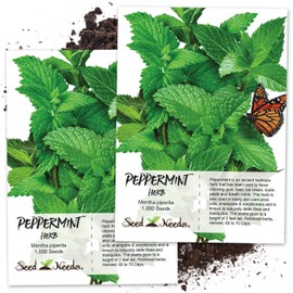 Seed Needs, Peppermint Herb Seeds for Planting (Mentha piperita) Twin Pack of 1,000 Seeds Each - Heirloom, Non-GMO, & Untreated