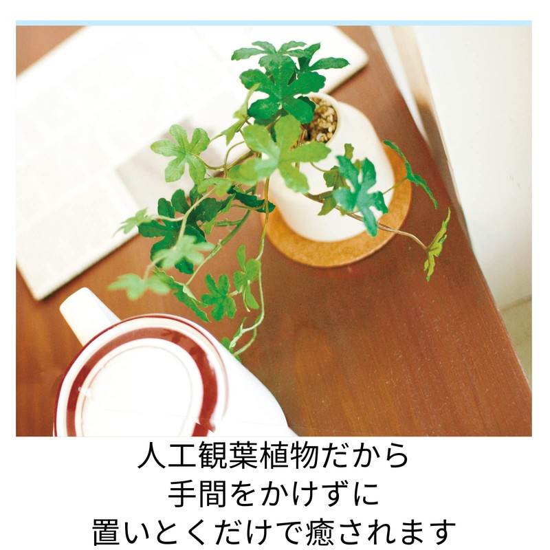 Kishima KH-61250 Artificial House Plants, Fake Green, Artificial Plants, Never