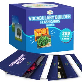 300 Vocabulary Builder Flash Cards Vol 2, Photo Cards Learning Materials for Speech Therapy, ESL, Autism, Homeschool & Kids Includes Emotions, Go Together Opposites, Noun Food, Prepositions, Verbs
