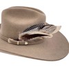 Willow Lane Hat Co. Feather Hat Accent - Cheyenne