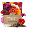 Zinnia Seeds - California Giants Mix - Large 1 Ounce