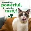 Greenies Feline Veterinarian-Recommended Adult Natural Dental Cat Treats, Oven Roasted