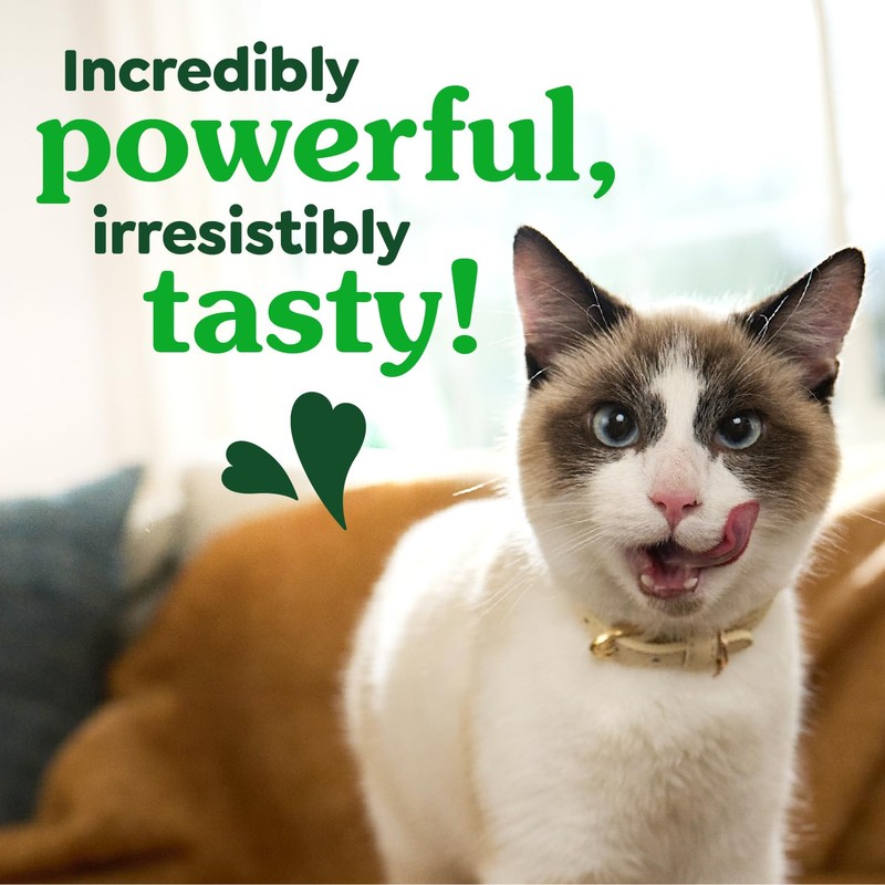 Greenies Feline Veterinarian-Recommended Adult Natural Dental Cat Treats, Oven Roasted