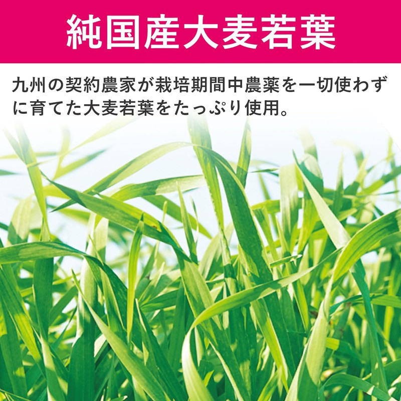 NIHON YAKKEN スーパーフルーツ青汁ダイエット(30本×2個) 乳酸菌 酵素 酵母 ヒアルロン酸 コラーゲン ビタミン ミネラル