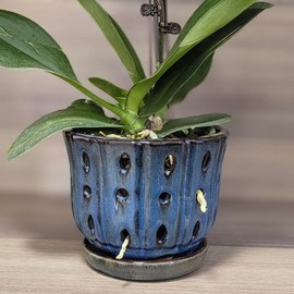 Grdthzey 6 inch Round Ceramic Orchid Pot with Holes Orchid Planter (Dark Blue)