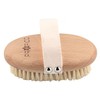 PROFICO Body Massage Brush (Tampico Exclusive Set)