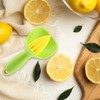 Ieron Lemon Squeezer with Splash Guard and Core Catcher Manual