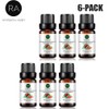 6-Pack Watermelon Essential Oil, Pure, Undiluted, Premium Grade Watermelon Oil