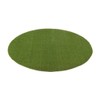 All Turf Mats Pro-Ball On Deck Circle Hitting Mat -
