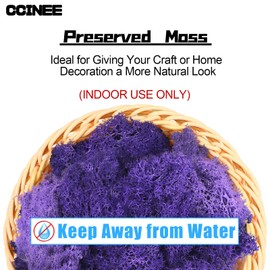 CCINEE Moss Preserved, 4 OZ Fake Reindeer Moss for Potted Plants for Craft Arts Floral Wall Decor Wedding Centerpieces Fairy Garden Artificial Terrariums Decoration for Christmas(Purple)
