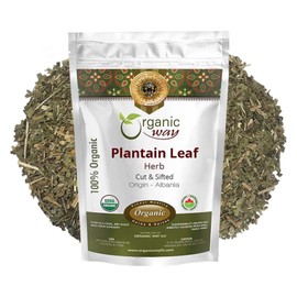 Organic Way Plantain Leaf Cut and Sifted | European Wild-Harvest | Organic & Kosher Certified | Non GMO & USDA Certified (8 Oz)