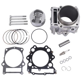 NEWZQ 686cc Big Bore Piston Cylinder Kit Replacement for Yamaha Raptor 660R 2001-2005 Yamaha Grizzly 660 2002-2008 Yamaha Rhino 660 2004-2007 102mm3YF-11310-01 93450-24028-00