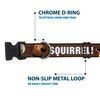 Buckle-Down Plastic Clip Collar - Dug 3-Poses/SQUIRREL! Brown/Yellow/White - 1"