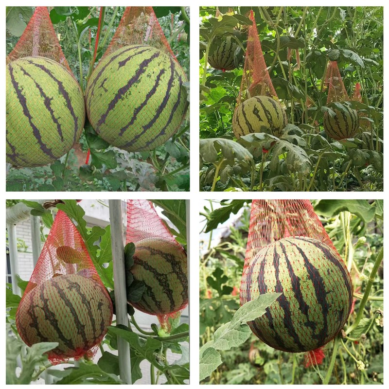 80 Pack Watermelon Nets, 20 Inches Reusable Cantaloupes Mesh Net