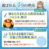 PETONIST Cat Dedicated Lactic Acid Bacteria Supplement, Dental Care, Bad