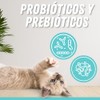 Fancy Pets MS Probióticos para Perros y Gatos con 60