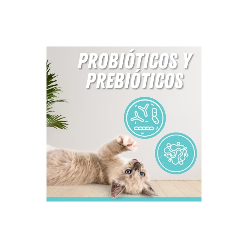 Fancy Pets MS Probióticos para Perros y Gatos con 60