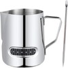 RODISHOMM 600ml Milk Frothing Pitcher with Temperature Control, Stainless Steel