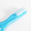 Angel Juicer Premium Brush