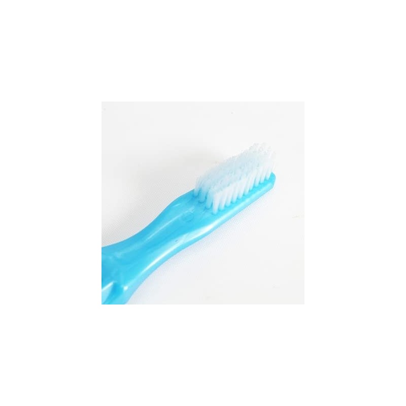 Angel Juicer Premium Brush