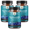 네이처스크래프트 니코틴아마이드 500mg 캡슐 Nature's Craft Niacinamide 500mg Capsules