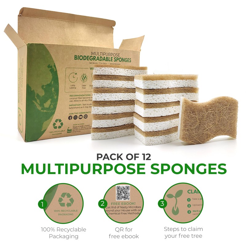 AIRNEX Biodegradable Natural Kitchen Sponge - Compostable Cellulose and Coconut