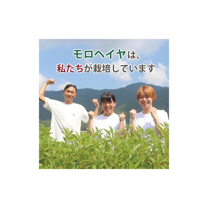 便秘 解消 サプリ 乳酸菌 バナナみたいに超腸快調(450粒入) 腸活 サプリ モロヘイヤ 食物繊維 お通じ改善