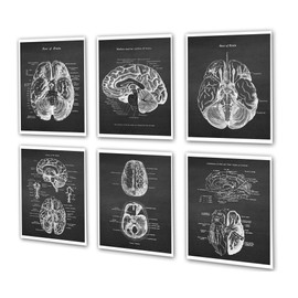 Gnosis Picture Archive Neuroscience Art set of 6 unframed Prints of Human Brain Anatomy