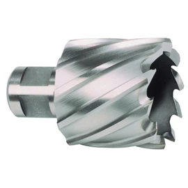 Core Drill HSS D,19 MM RUKO L Load 30 MM Weldon