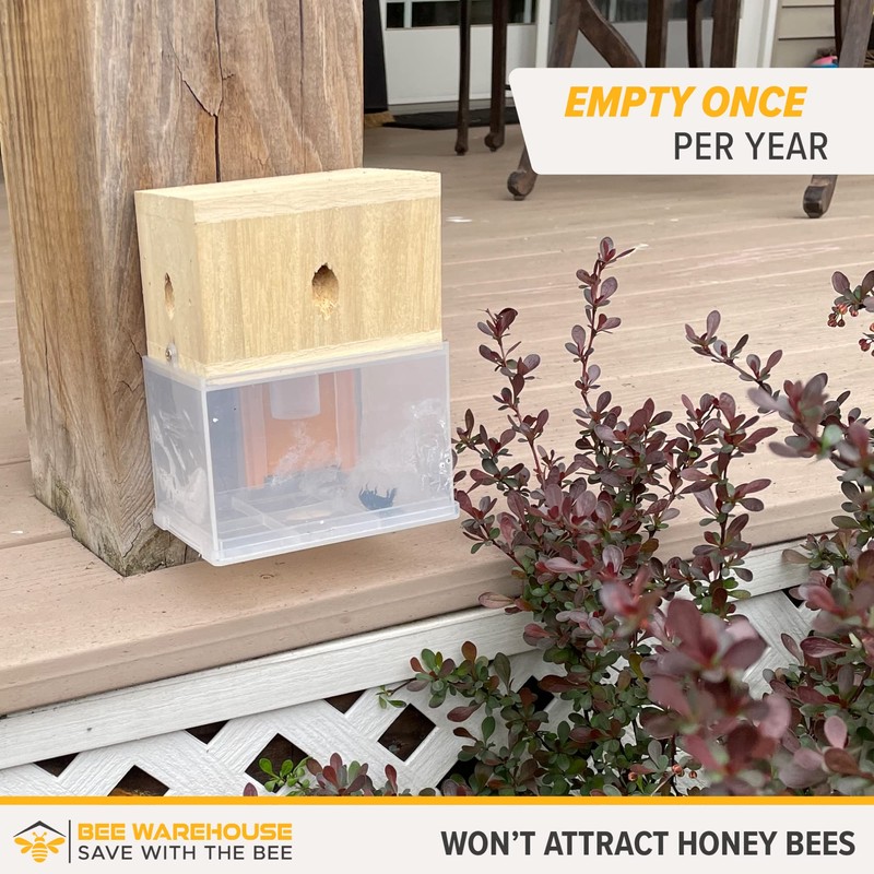 Bee Warehouse - Carpenter Bee Trap - Wood Boring Bee