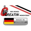 BPV - Creatine Taps - 200 Chewable Tablets with Delicious