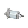 Soarider 1997-2002 Starter Motor & Bendix for Polaris Scrambler 500