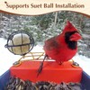 Feekoon Metal Perch Extender Compatible with Bird Buddy Bird Feeder