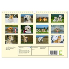 Das Glück hat einen Namen - Golden Retriever (Wandkalender 2025 DIN A4 quer), CALVENDO Monatskalender [Calendar] Sigrid Starick