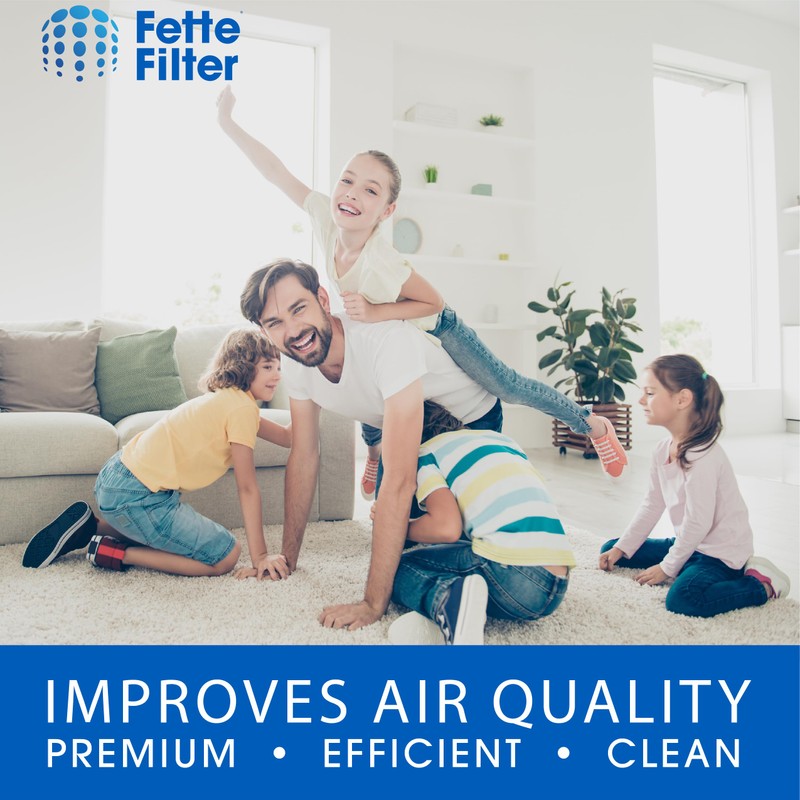 Fette Filter - 708731 / AFS-1B-OF Replacement Electrostatic Outer Filter